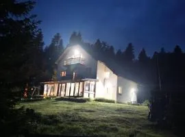 Nikolića kuća