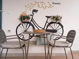 B&B Pinulà