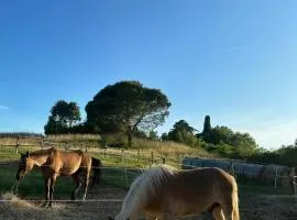 Osteria del Cavaliere Appartamenti