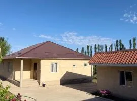 The Still House