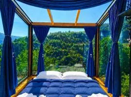 Hill House Merisi