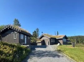 Vikerfjell i Ringerike, Oslos nærmeste høyfjell