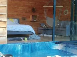 Cabane perchée avec jacuzzi