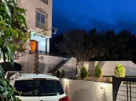 Villa centre ville zéro six soixante neuf soixante huit 3828