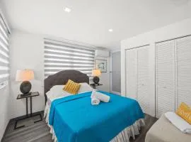 Downtown Studio in San Juan Janer House