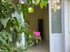Sweet Home with Garden
