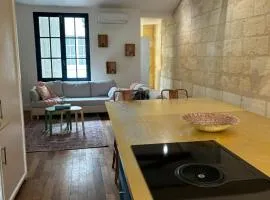 Grand appartement climatisé en plein centre de Bordeaux Place Fernand Lafargue