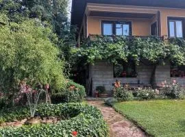 Dona Guest House - Horse Riding