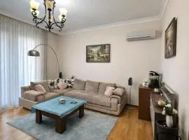 nearby Airport Apartment