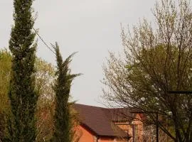 Iora Winery