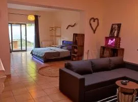 Superbe Appartement avec jardin privé plein sud
