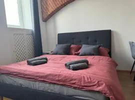 Stylish Apartment Near Airport