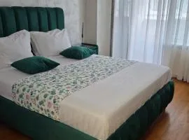 Apartament Victoriei - Centru