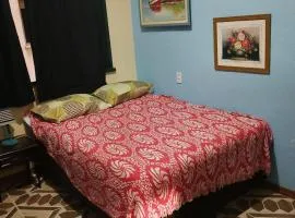 Vintage Loft 410