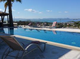 the view villa, hotell med basseng i Argaka
