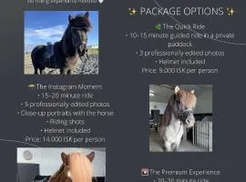 summer house offers breathtaking views and horses