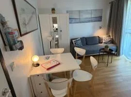 Lyon Confluence - duplex au calme avec parking privé en option