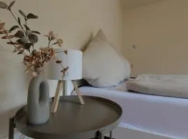 Weinberg und Kamin - Appartment an der Mosel