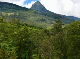 Adams peak Home Stay