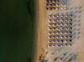 OLYMPIADA GIRNI Suites
