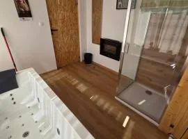 Zoja house