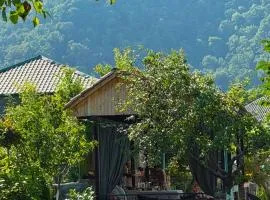 DreamLand Lagodekhi & Wine Cellar