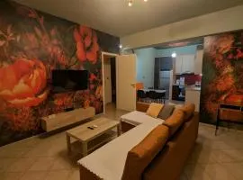 Sakura Apartment Near Airport & Rafina Port