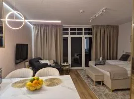 Cerelis Apartment 310