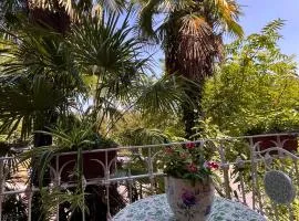 Le Palme Di Como