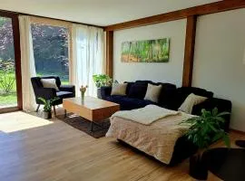 Garden with 2 barbecue areas l 5 minutes from the lake