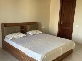 Luxury Executive Homestay