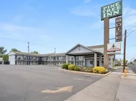 Pine Tree inn