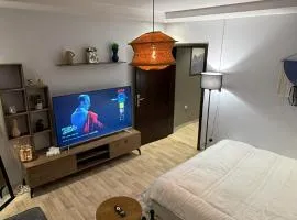 شقة فاخرة و انيقة بدخول ذكي