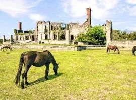 Sleeps 10,Near HWY I-95,40,17 & Kings Bay navybase,Cumberland Island,JAX airport