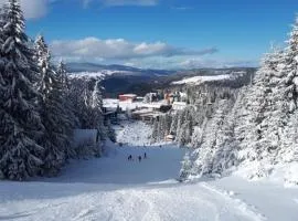 Vlašić Retreat