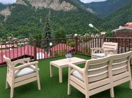 Sisters house Borjomi
