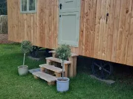 Aldwark Bridge Glamping - Shepherd's Hut