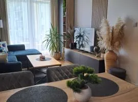 Classic&Modern Suite