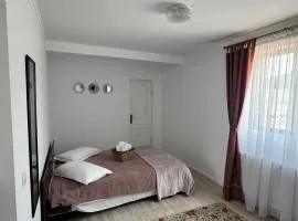 Casa Bucsoaia