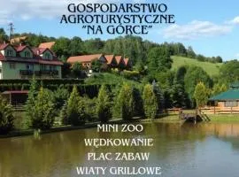 Gospodarstwo Agroturystyczne na Górce