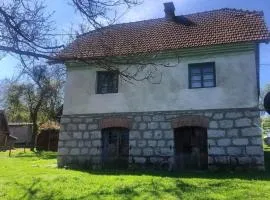 Vila Jelka
