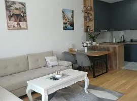 Apartman Pavle