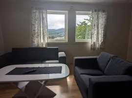 Kjellerleilighet med utsikt
