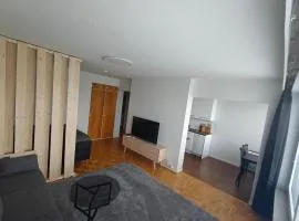 A neat apartment in the city center
