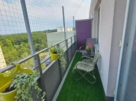 Apartment Forty Five