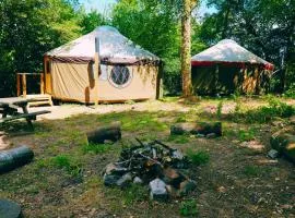 Yurtcamp Devon