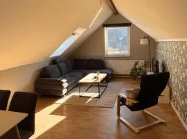 Moderne Dachgeschosswohnung