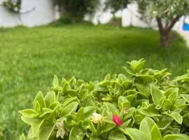 3 bedroom Villa with garden