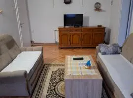 Apartman Mickey