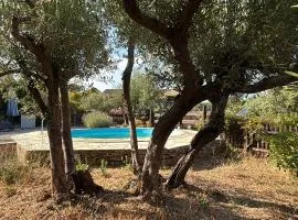 Casa Geco